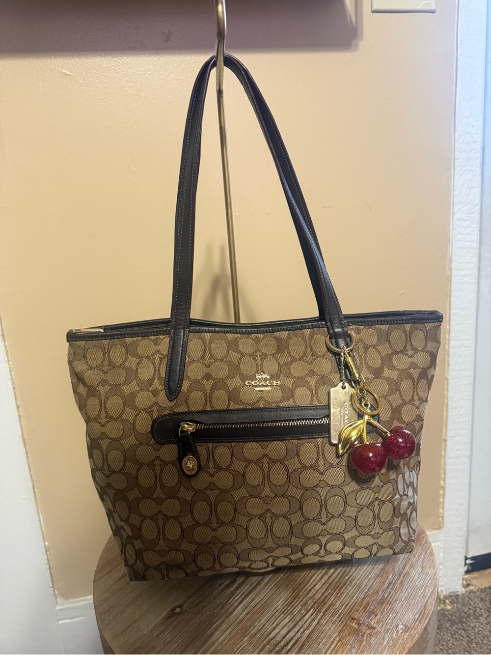 Coach Signature Canvas Tote Bag in Brown Cherries not included